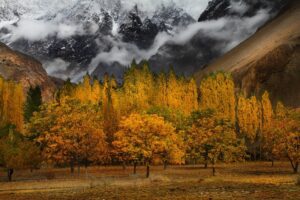 5 Days Trip to Hunza