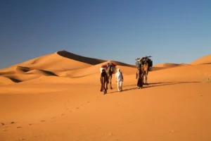 Private Desert Tours to Thar