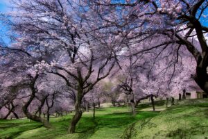 Honeymoon Trip from Karachi